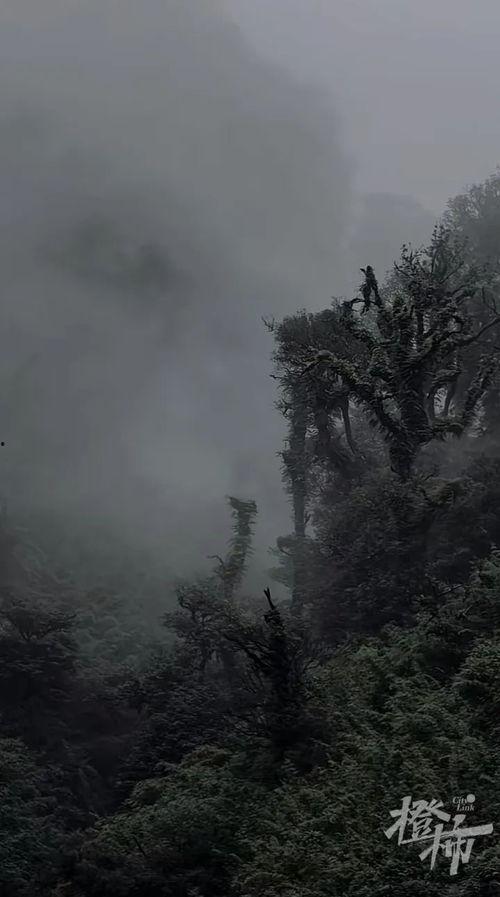 哀牢山,自然奇观与民族文化的瑰宝